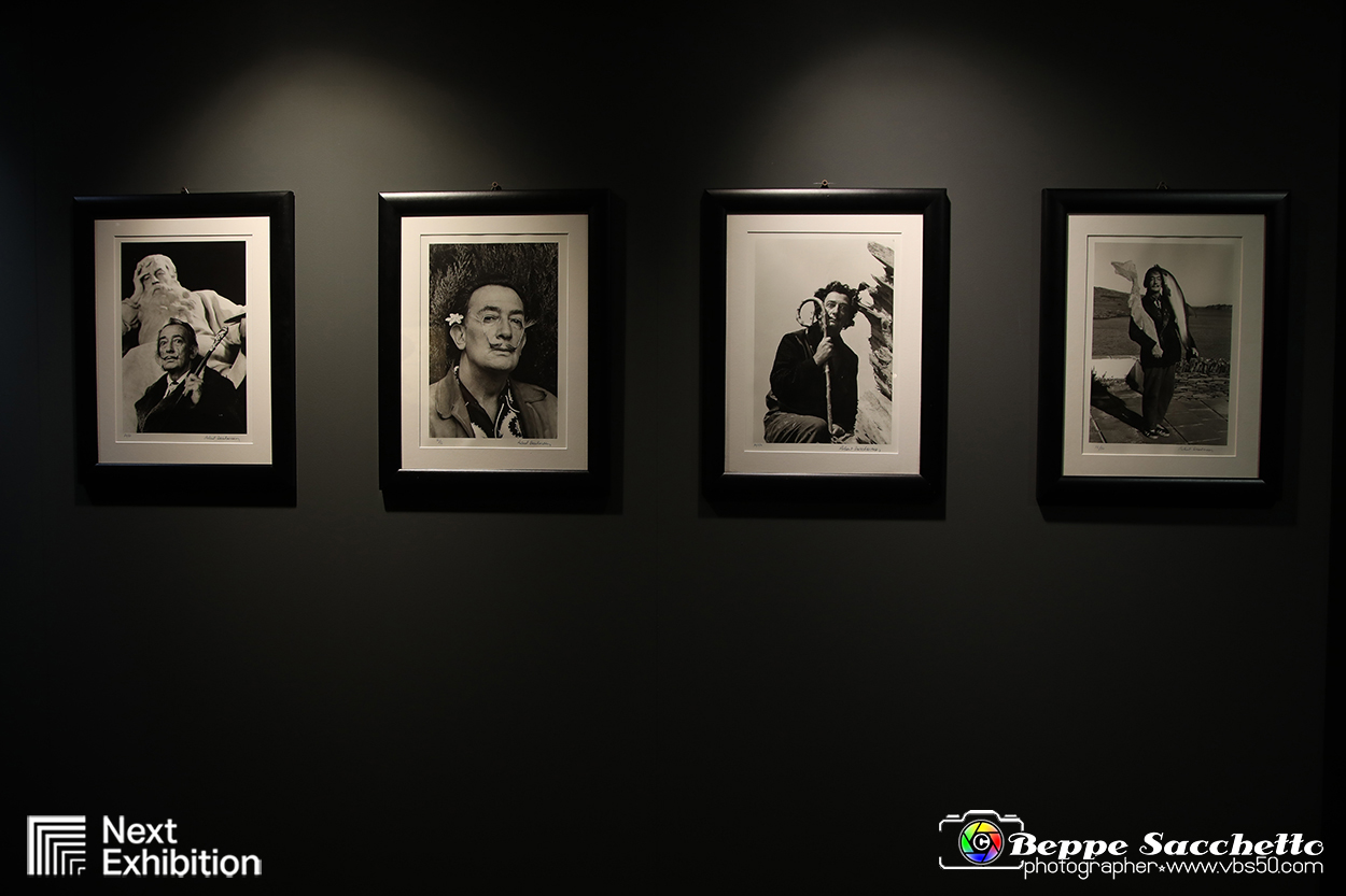 VBS_7696 - Salvador Dalì - The Exhibition.jpg